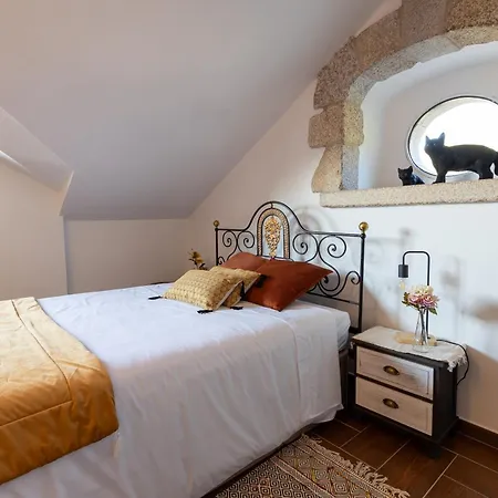 Casas Do Gato