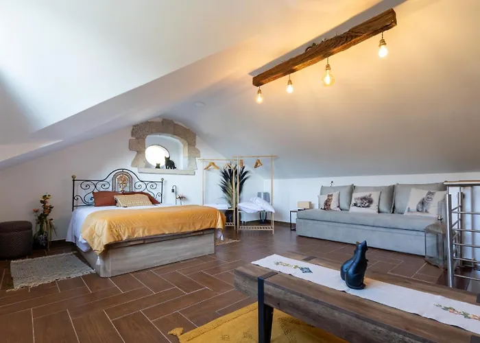 Casas Do Gato 別荘 *